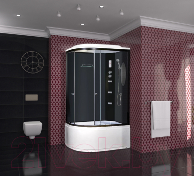 Душевая кабина Niagara NG-214-01RN 120x80x215