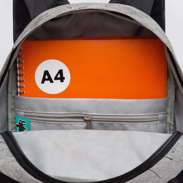 Рюкзак Grizzly RXL-627-2