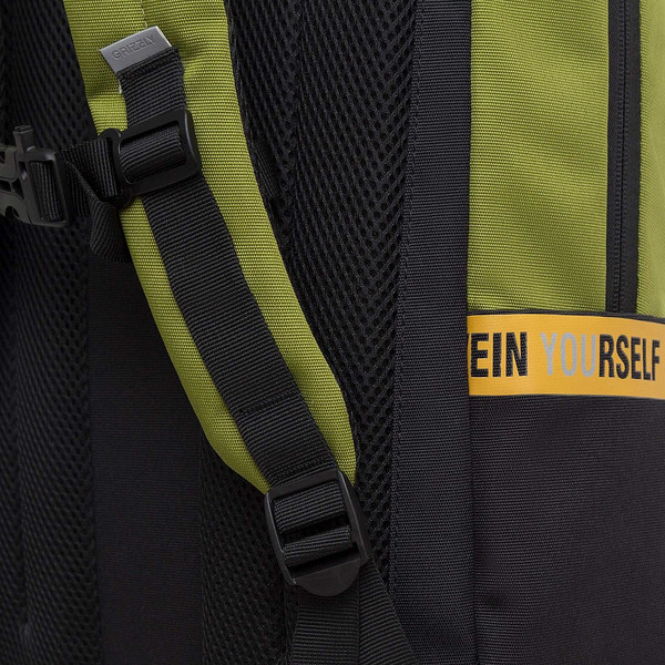 Школьный рюкзак Grizzly RU-337-2