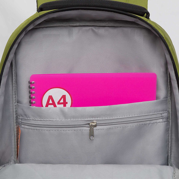 Школьный рюкзак Grizzly RU-337-2