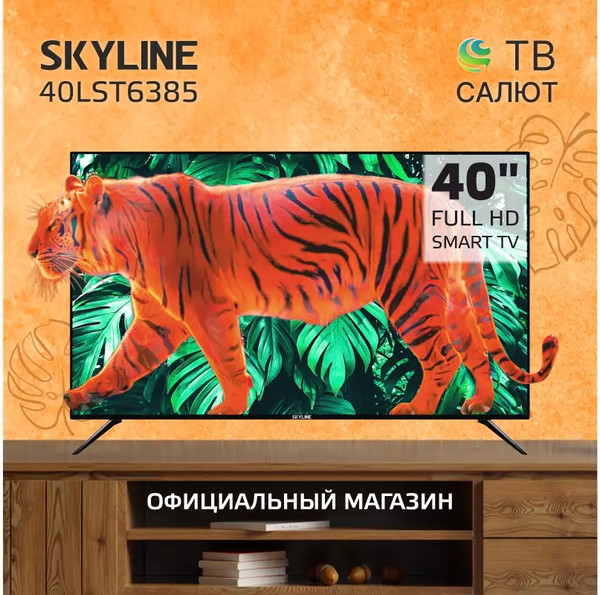 Телевизор SkyLine 40