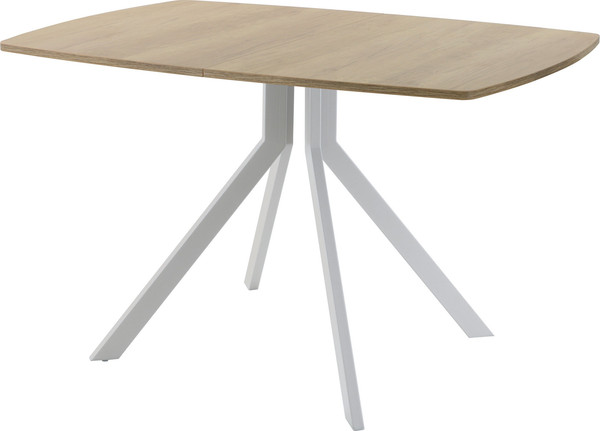 Обеденный стол AMC Elite Е18(1200) D6 - фото