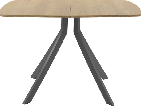 Обеденный стол AMC Elite Е18(1100) D6