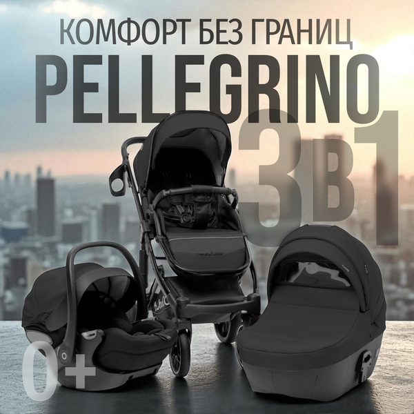 Детская универсальная коляска Bubago Pellegrino 3в1 / BG 163-1