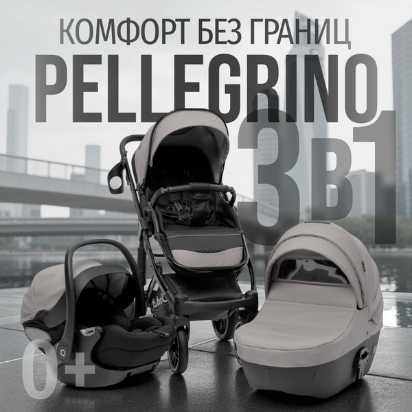 Детская универсальная коляска Bubago Pellegrino 3в1 / BG 163-2
