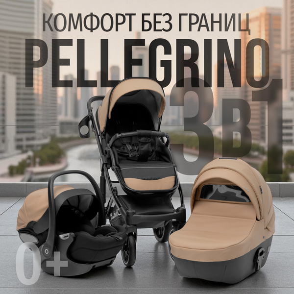 Детская универсальная коляска Bubago Pellegrino 3в1 / BG 163-3