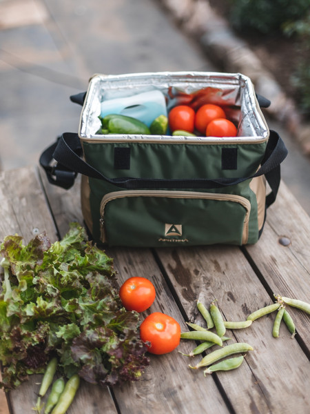 Термосумка Арктика 3001-10-GN