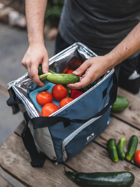 Термосумка Арктика 3001-20-BL