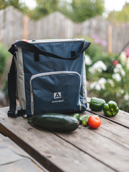 Термосумка Арктика 3001-20-BL