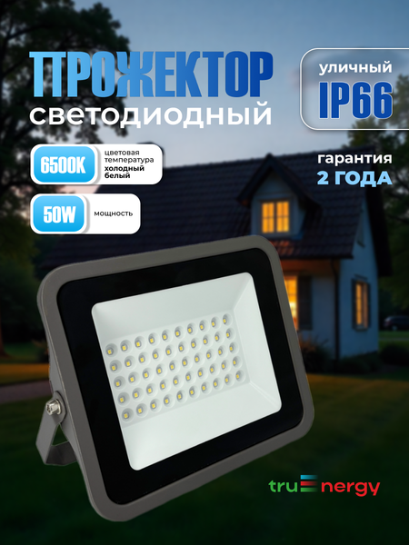 Прожектор Truenergy 13115