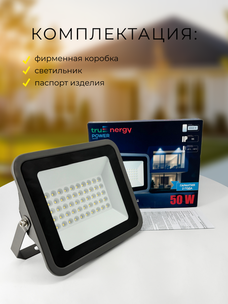 Прожектор Truenergy 13115