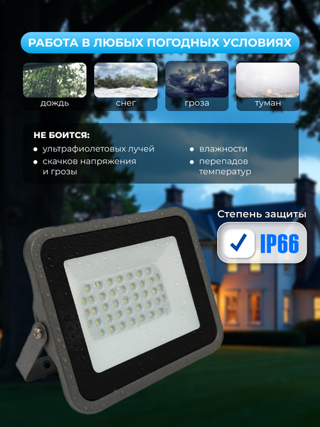 Прожектор Truenergy 13115