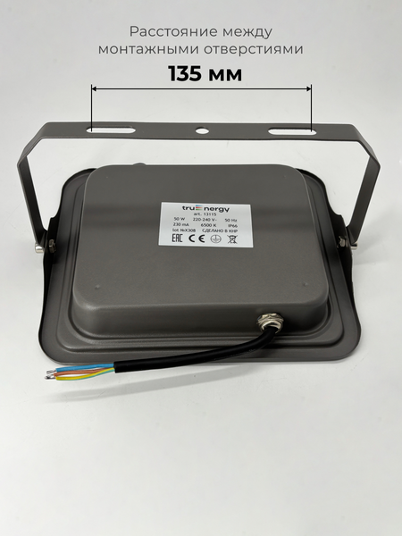 Прожектор Truenergy 13115