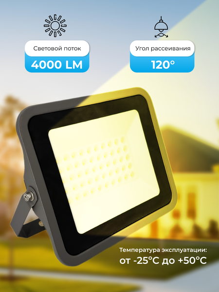 Прожектор Truenergy 13115