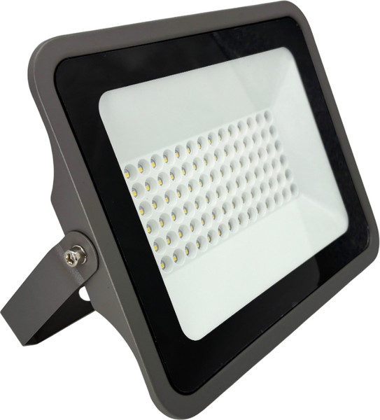 Прожектор Truenergy 13116 - фото