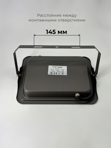 Прожектор Truenergy 13116