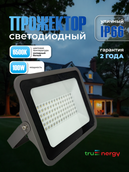Прожектор Truenergy 13116