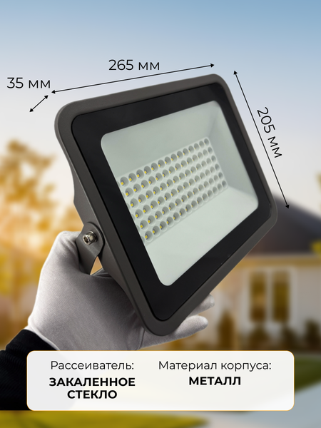 Прожектор Truenergy 13116