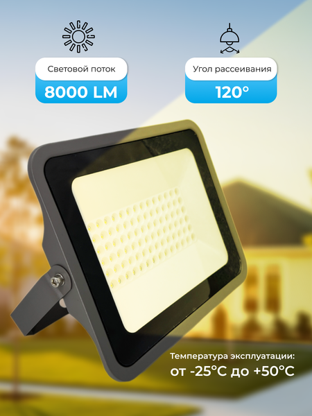 Прожектор Truenergy 13116