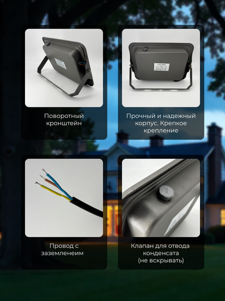 Прожектор Truenergy 13116