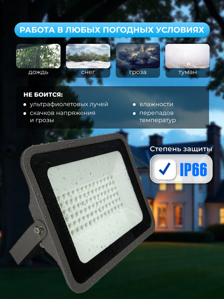 Прожектор Truenergy 13116