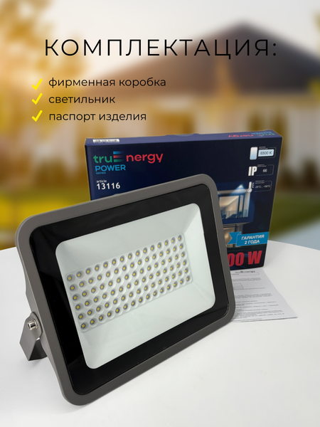 Прожектор Truenergy 13116