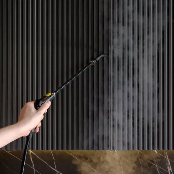 Пароочиститель Timberk T-STCF71