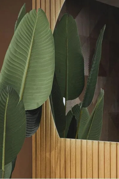 Зеркало Abber Teil AG6504SR