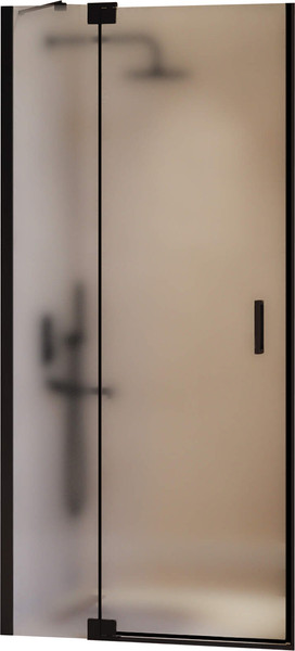 Душевая дверь RGW HO-014B / 350601410-24 - фото