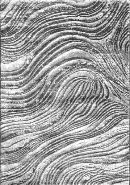 Ковер Safyun Eva / LZ185-GREY - фото