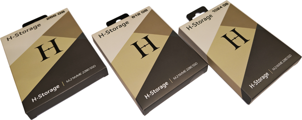 SSD диск Horizont H Storage / HSA4300-256G