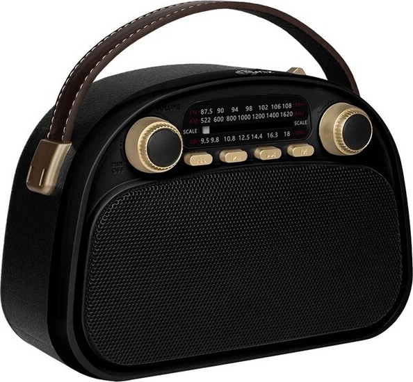 Радиоприемник Ritmix RPR-040