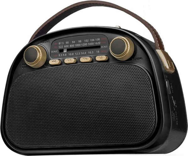 Радиоприемник Ritmix RPR-040