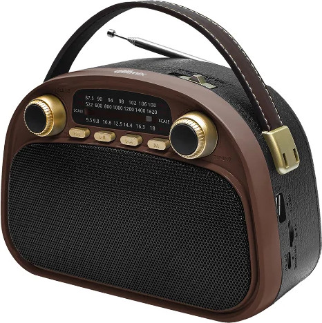 Радиоприемник Ritmix RPR-040