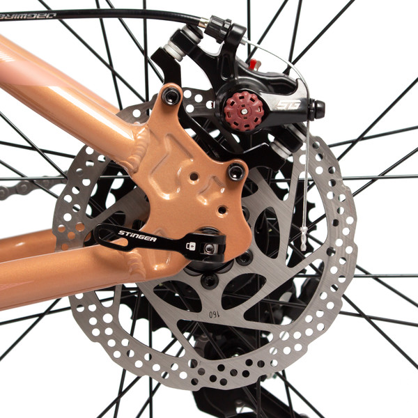 Велосипед Stinger Laguna 29 / 29AHD.LAGUNA.LGBG5