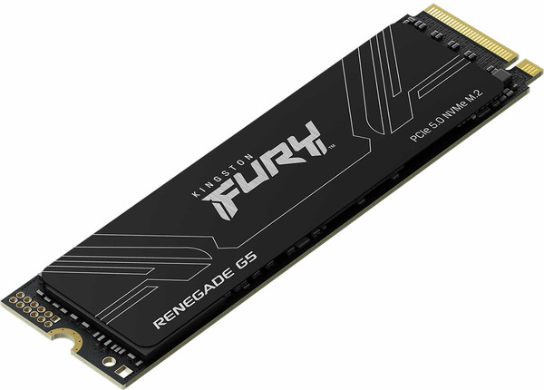 SSD диск Kingston Fury Renegade G5 2TB (SFYR2S/2T0)