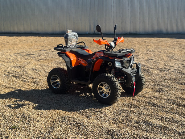 Квадроцикл RAM ATV250