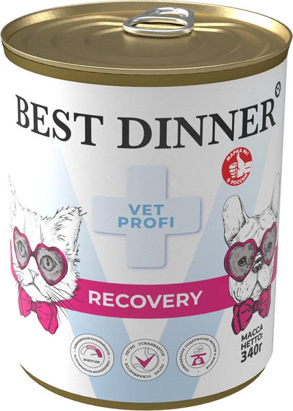 Влажный ветеринарный корм для собак Best Dinner Vet Profi Recovery - фото