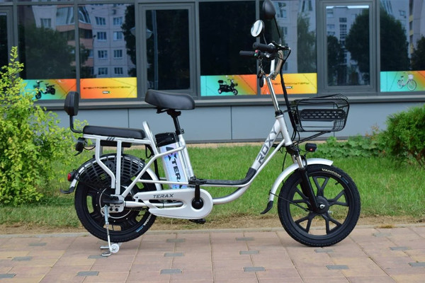 Электровелосипед Terax Roxy NS010