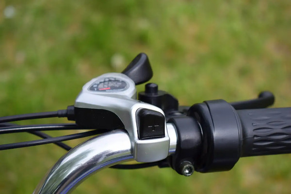 Электровелосипед Terax Naroch XD02