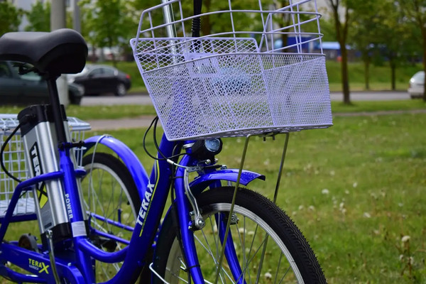 Электровелосипед Terax Naroch XD02