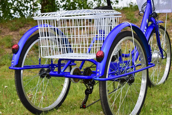 Электровелосипед Terax Naroch XD02