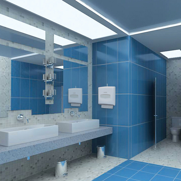 Диспенсер Laima Professional Classic / 601426