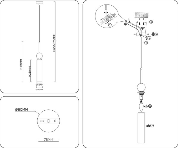 Потолочный светильник Ambrella LH53256 BS/FR