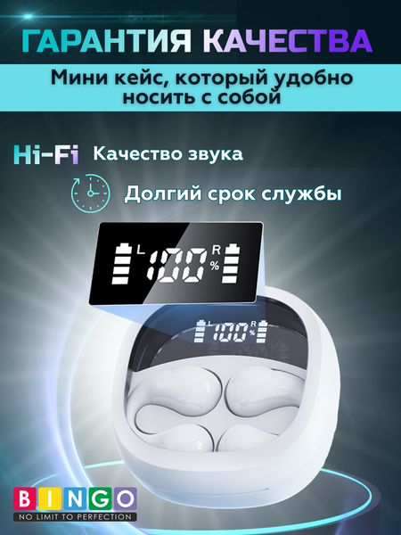Беспроводные наушники Bingo JR01