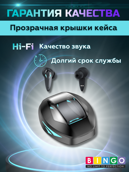 Беспроводные наушники Bingo TG09