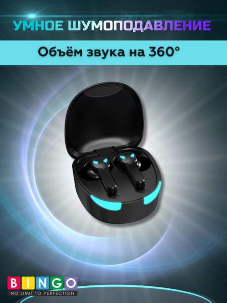 Беспроводные наушники Bingo TG10