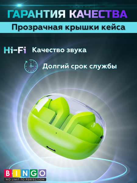 Беспроводные наушники Bingo TM30