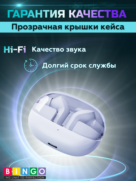 Беспроводные наушники Bingo TM30
