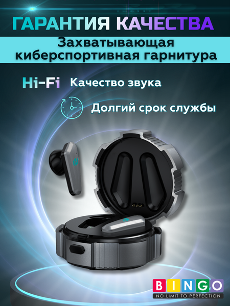 Беспроводные наушники Bingo VT-G10